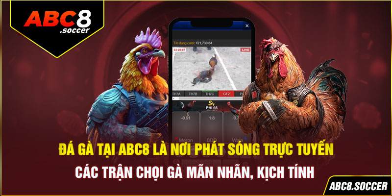 Đá gà tại ABC8 là nơi phát sóng trực tuyến các trận chọi gà mãn nhãn, kịch tính