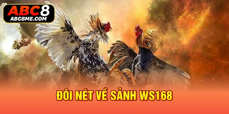 Sảnh WS168 - Siêu Phẩm Hàng Đầu Ngay Tại Nhà Cái ABC8 Đôi nét về sảnh WS168