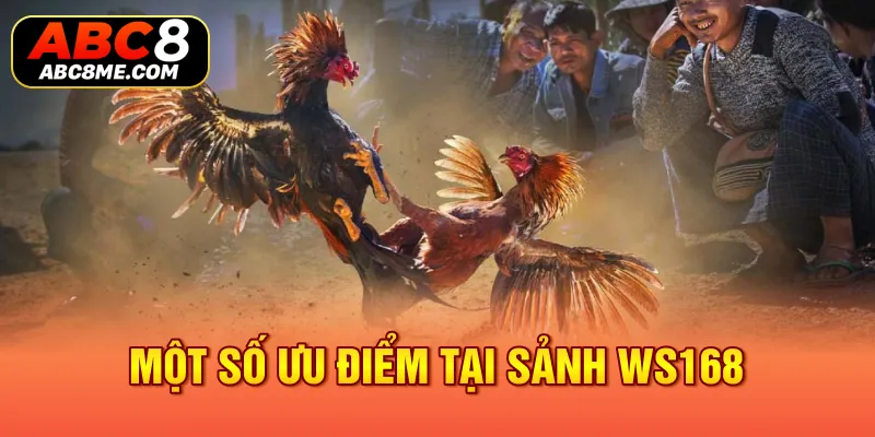 Sảnh WS168 - Siêu Phẩm Hàng Đầu Ngay Tại Nhà Cái ABC8 Một số ưu điểm tại sảnh WS168