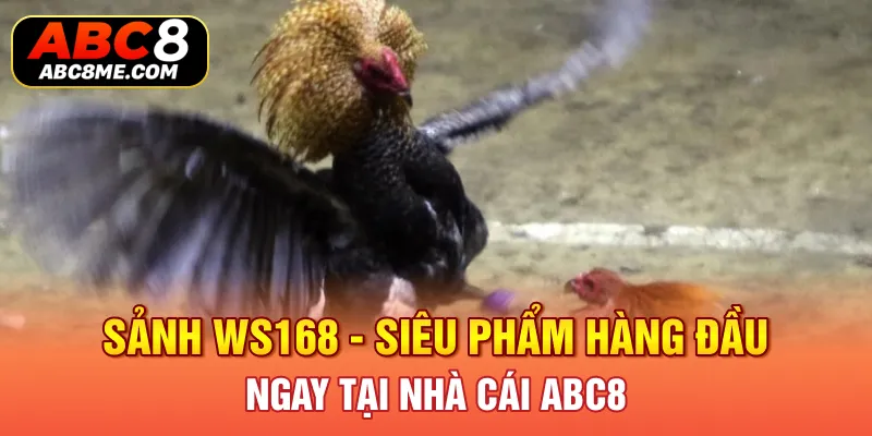 Sảnh WS168 - Siêu Phẩm Hàng Đầu Ngay Tại Nhà Cái ABC8 Sảnh WS168 - Siêu Phẩm Hàng Đầu Ngay Tại Nhà Cái ABC8